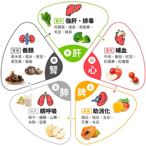 銅對身體的影響|銅 – 國家環境毒物研究中心